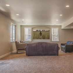 basement finishing denver